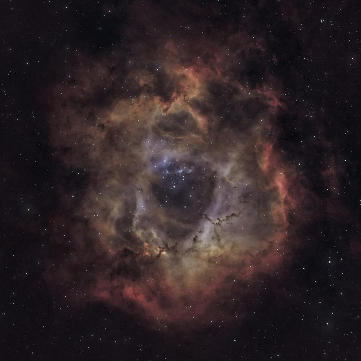Astroloji Haritası